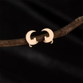 Vue rapprochée de boucles d'oreilles chat en or rose suspendues à une branche en bois - Or rose