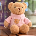 Cute light brown teddy bear plush toy wearing a soft pink hoodie sitting on a wooden surface - Hoodie Bear / 30 cm / Pink