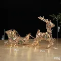 Champagne lit reindeer and sleigh Christmas decor made of natural fiber with LED lights - Champagne Iron Sleigh Reindeer Set