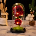 Roses rouges éternelles sous dôme en verre avec guirlande LED sur socle noir en bois - Base noire + Herbe + 2 Fleurs / Dôme en plastique