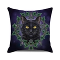 Halloween Trick or Treat throw pillow cover with festive pumpkin and bat illustration - Artistic Illustration Design