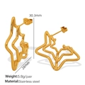 Golden textured spider web star earrings made of durable stainless steel for women - Irregular Star Style (EH819) / Gold