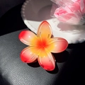Haarklammer mit rot-gelber Frangipani-Blüte aus Kunstharz auf schwarzer Lederfläche - 8cm / Rot 8cm