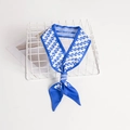 Blue and white silk-feel twilly scarf featuring elegant letter print and pointed ends - Blue White Alphabet