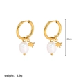 Close-up of pearl and gold star earrings with 2.6cm drop length and 3.9g weight - Gold Pearl Star Style (YYE023097)