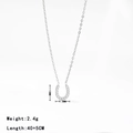 Silberne U-förmige Hufeisen-Halskette aus Titanstahl mit Zirkonia-Steinen und 45 cm Kette - Platin
