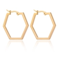 Sleek gold-finished stainless steel hexagonal hoop earrings with a polished minimalist look - Hexagon / Rose Gold