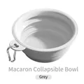 Collapsible gray TPE travel dog bowl with portable metal carabiner and folding design - Premium Grey