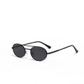 Classic black round sunglasses with slim metal double bridge frame for a retro style - Black Frame Grey Lens