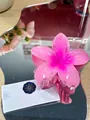 Pink gradient resin orchid flower hair claw clip with semi-transparent finish for women - Large (approx 8cm) / Gradient Pink
