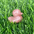 Pink rose quartz crystal duck figurine placed on green grass for home decoration - Rhodonite