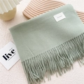 Detailed view of mint green scarf texture with fringed edges and minimalist woven label - Light Green