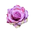 Purple pink gradient silk rose hair clip for weddings and parties, 11cm artificial flower - 11cm #7 Purple Pink
