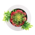 Artificial succulent in white round pot with vibrant red and green leaves decor - Style 6F