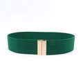Detail of forest green elastic waist belt with a sleek champagne gold metal buckle closure - Green