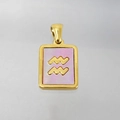 Waterman sterrenbeeld ketting met gouden roestvrijstalen hanger en roze schelp inleg - Waterman