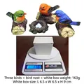 Miniature resin bird figurines set with nest and eggs on scale for size reference - Tricolor Birds + Nest