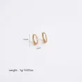 Detail shot of hollow small hoop earrings with cubic zirconia and lever back closure - Micro Pave Style (B7-01)