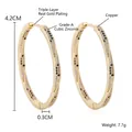 18k gold plated spiral hoop earrings with leopard zircon pave, 4.2cm diameter size - 4.2*0.3cm Spiral Gold (EN04-6)