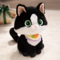 Plush black and white cat doll with colorful woven bib and carrot decor on white rug - Carrot Style