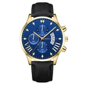 Fashionable men's watch with gold case, blue sunray dial and black leather strap - Blue Dial Gold Pointer Gold Case