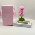 Garofano rosa in cupola di vetro con luci LED e confezione regalo rosa - Rosa + Confezione Regalo