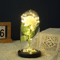 Romantic white rose in glass dome with warm LED fairy lights on a black base - Acrylic Dome + Plastic Base / White Rose