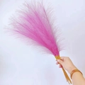 Close-up of a hand holding 55cm pink pampas grass with fluffy feathers for boho home decor - 53-55cm / Rose Red