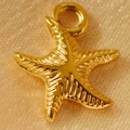Gouden zeester hanger van gestructureerd roestvrij staal voor DIY sieraden maken - Kleine Lijn Zeester (16mm)