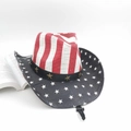 Western straw cowboy hat with hand-painted American flag stars and stripes design - Flag/Star Rivet Band/White Book Prop