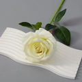 Flanellstoff Groß Creme