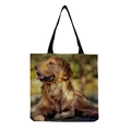 Golden Retriever Portrait (hm5162)