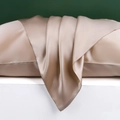 Beige 22 Momme Maulbeerseide Kissenbezug mit glänzendem Stoff und Hotelverschluss - Champagner
