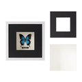 Minimalist white shadow box frame with glass and butterfly art specimen display - White - 3cm Hollow / 4x6 inches (10.1x15.2cm)