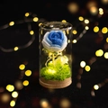 Luce notturna a forma di rosa lavorata a maglia blu e bianca in cupola di vetro con LED - Rosa Sfumato Blu