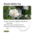 Westin White Tea scent essential oil refill for automatic aroma diffuser bottle - Westin White Tea Style (No Machine)
