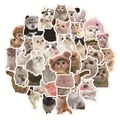 Set of 60 realistic cute cat stickers featuring various breeds in cosplay outfits - Realistic Cat-60Pcs