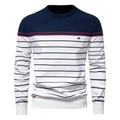 Herren Strickpullover mit Farbblock-Streifen in Marineblau und Weiß mit Rundhals - S / Marineblau