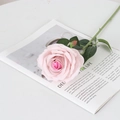 Pink velvet artificial rose flower with green leaves on magazine for home decoration - Large Velvet Pale Pink