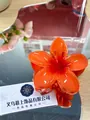 Vibrant orange bauhinia flower hair claw clip with a glossy translucent finish - Large (approx 8cm) / Dark Orange