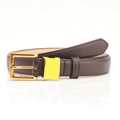 Brown leather vintage belt for women featuring a minimalist pale gold metal buckle - Coffee