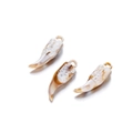 Detailed macro view of three horn-shaped acrylic charms with floral shell-like engravings - Wolf Tooth (Large)