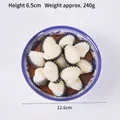 Modelo de comida realista 1:1 de almejas en cuenco de porcelana para escaparate - Almejas de Sangre Salteadas