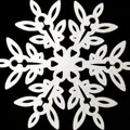 Witte plastic sneeuwvlok met gedetailleerd hol ontwerp voor kerstboomboomdecoratie - Witte Sneeuwvlok Stijl HDJ25
