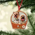 Yorkshire Terrier puppies in daisy basket acrylic ornament with festive red ribbon - 9-Dogs in Basket
