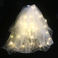 White layered mesh glowing veil with warm LED string lights and a delicate ribbon bow - Double Layer Rolled Edge With Hair Clip (70cm)