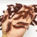 Handful of realistic brown plastic centipede toys for Halloween pranks and decor - Centipede