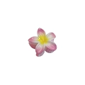 Pink and white gradient plumeria flower hair claw clip with a yellow center for women - 8cm Pink