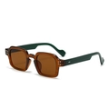 Lunettes de soleil vintage avec monture écaille, branches vertes et rivets argentés - C4 Monture Thé Branches Vertes Verre Thé