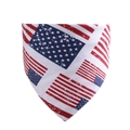 Distressed American flag pattern pet bandana for dogs and cats with vintage star stripes - Vintage Stars Stripes (New Style 4)
